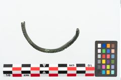 Foto von Bronzearmreif (NHMW-PRAE-026052)